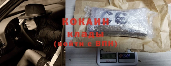 прущие крисы Аркадак