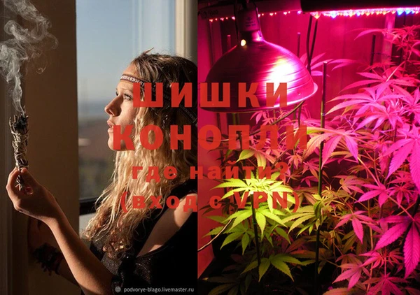 прущие крисы Аркадак