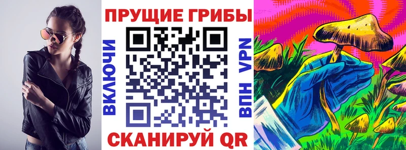 Псилоцибиновые грибы MAGIC MUSHROOMS  наркошоп  Суровикино 